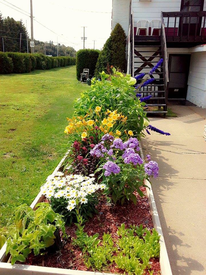 Gallery Image 15